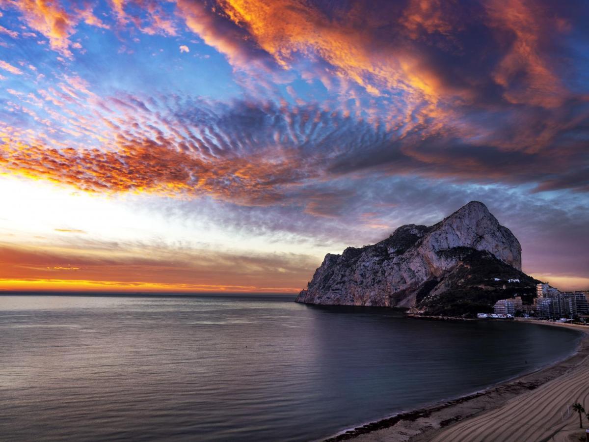 Hipocampos Rent Calp