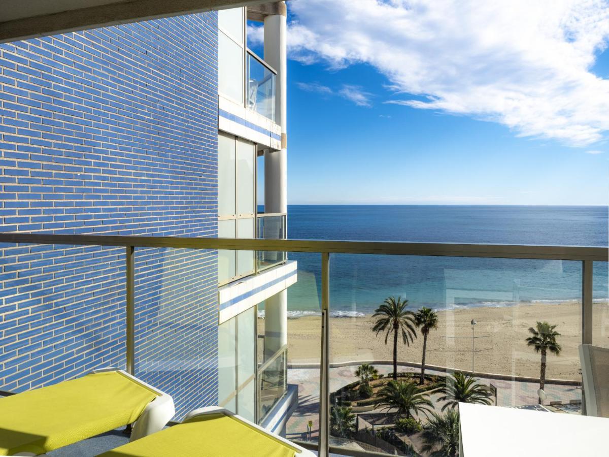 Hipocampos Rent * Calp