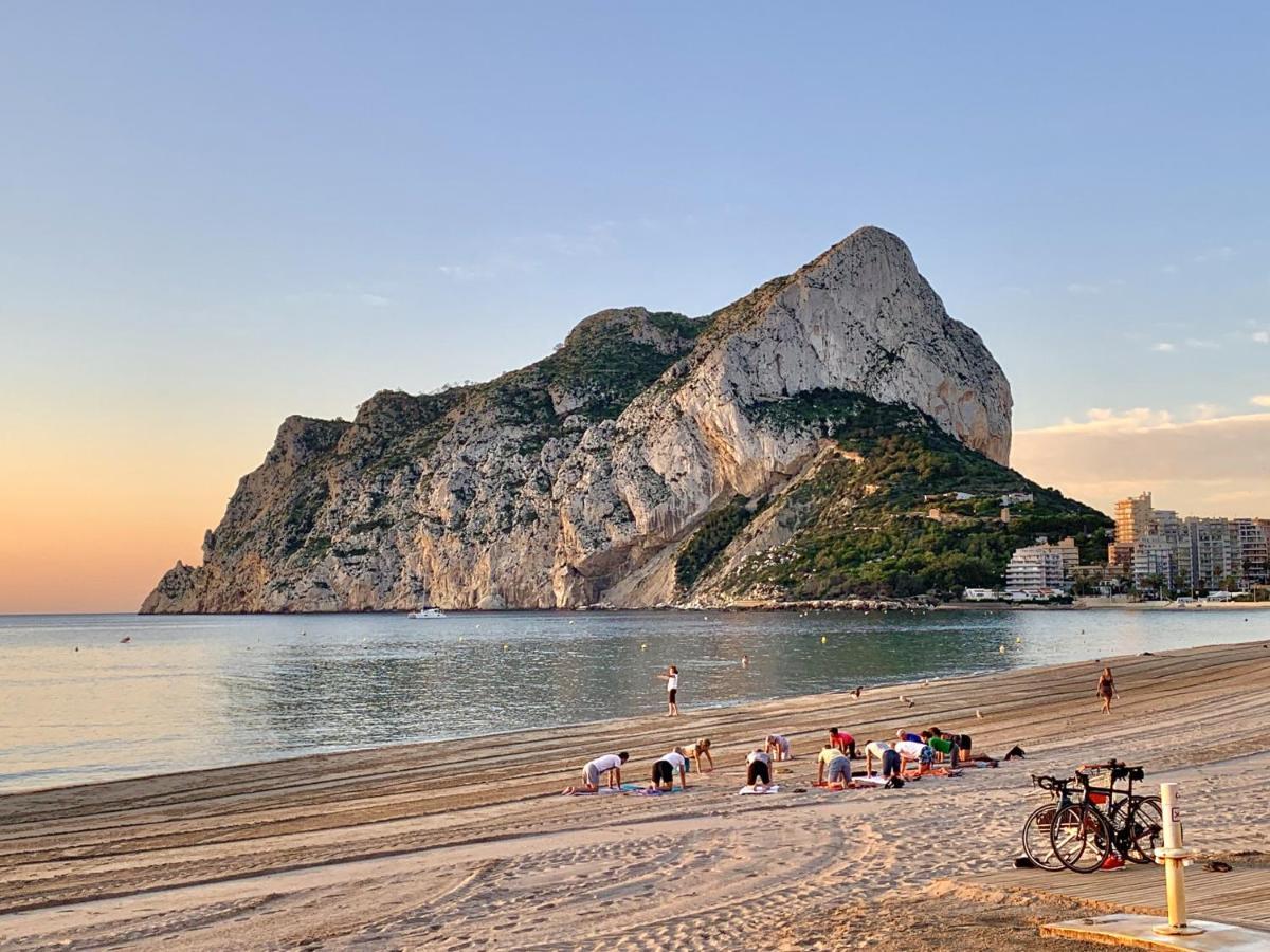 Hipocampos Rent Calp