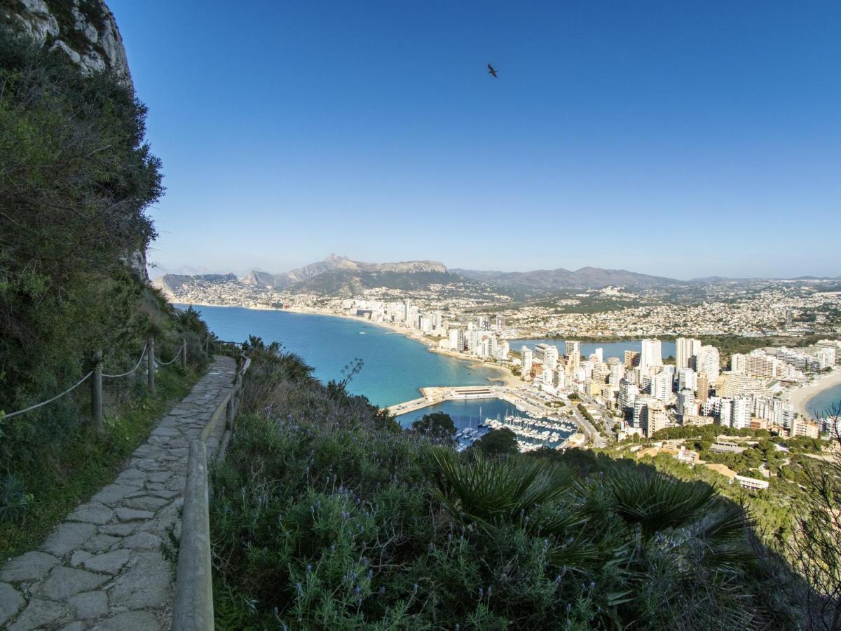 Hipocampos Rent Appartement